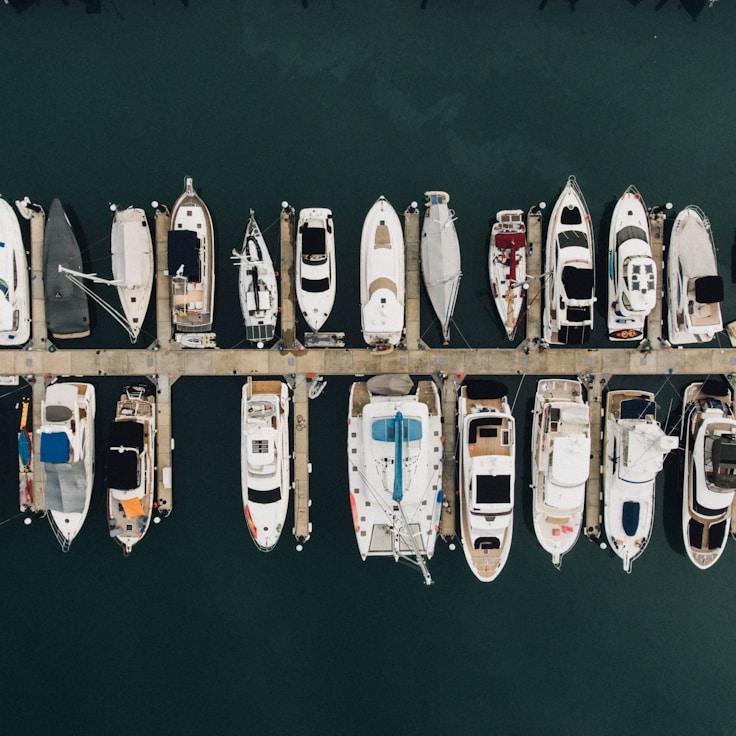 StillHarborOrchid yacht fleet